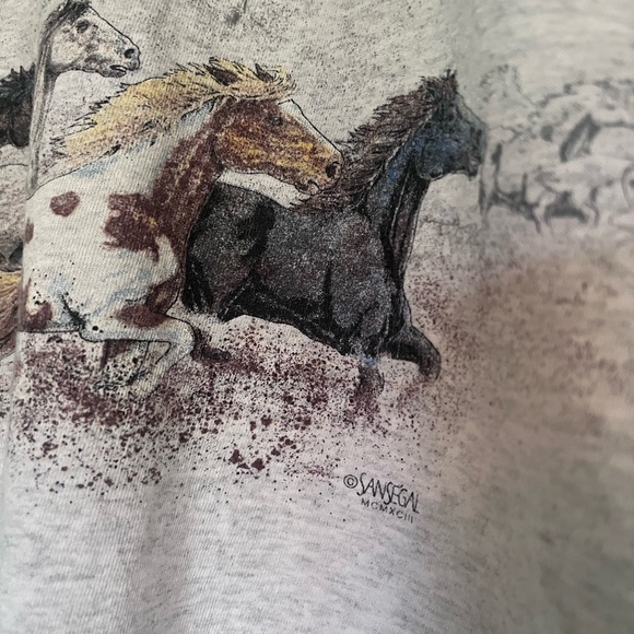 Gray Dixie Stampede Pigeon Forge T-Shirt - Picture 4 of 5